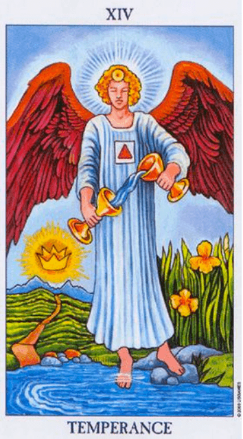 Carta El Loco del tarot Rider-Waite mostrando a un joven caminando al borde de un precipicio con una rosa blanca y un perro a su lado.