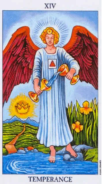 Carta El Loco del tarot Rider-Waite mostrando a un joven caminando al borde de un precipicio con una rosa blanca y un perro a su lado.